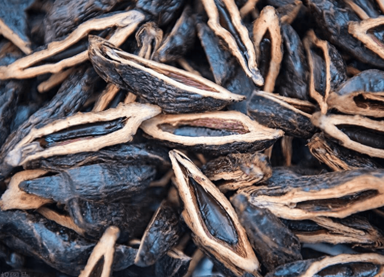 EAVISION J100 Crop Protection — Tech-Enabled Stability for Sanya Areca Palm