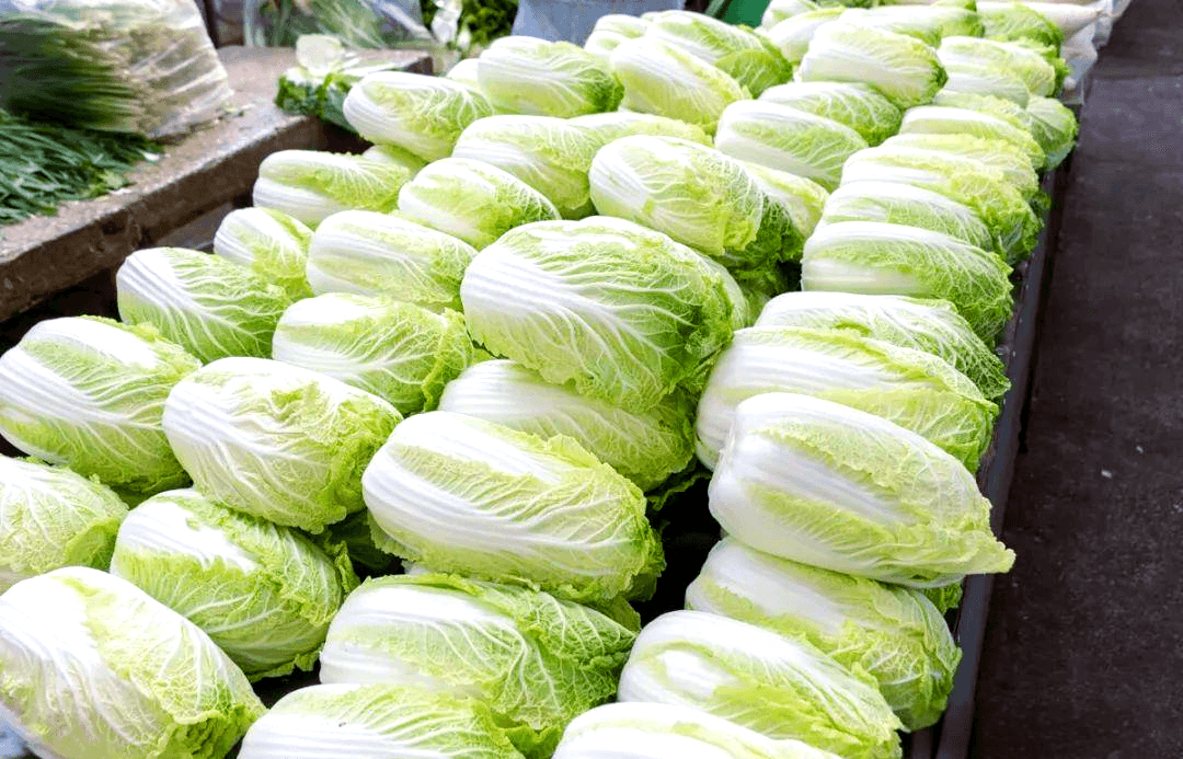 J150 Precision Protection — Safeguarding Hebei’s “Staple Vegetable”