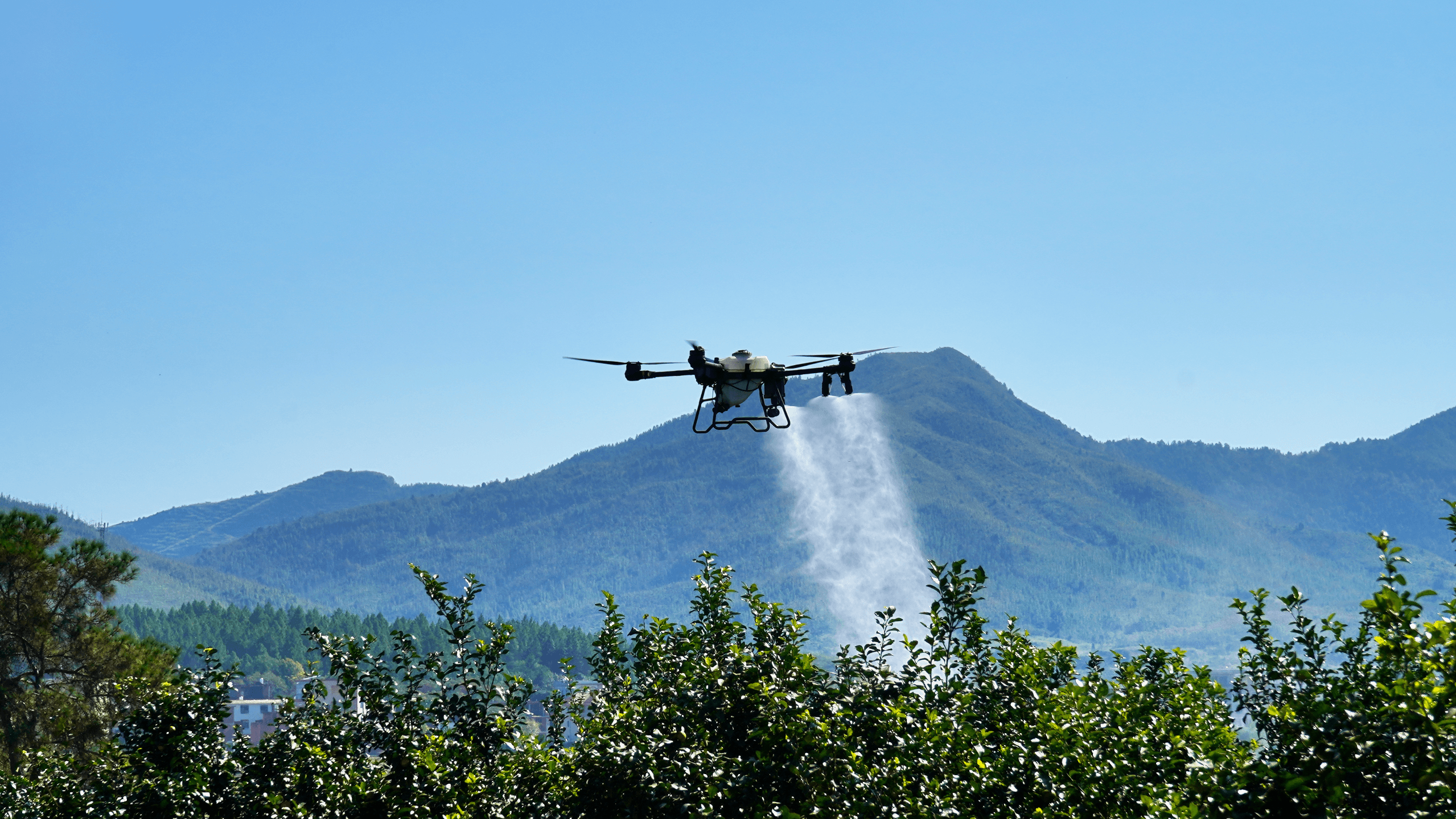 Agricultural Drone Mapping and Spraying