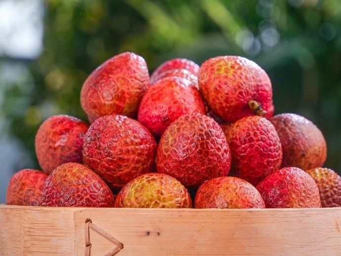 EAVISION J100 Precision Protection — Empowering Lingnan Lychee Excellence