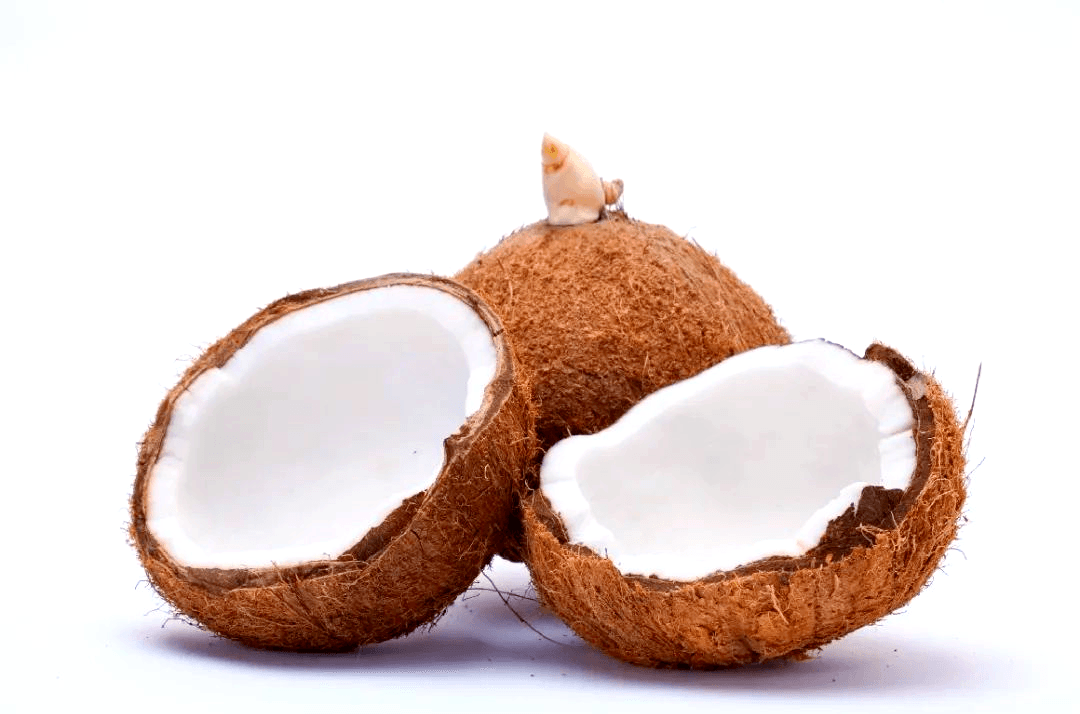 J70 Flexible Strike, Precision Protection for Thai Coconut Groves